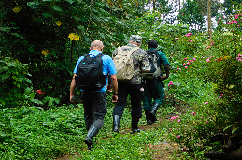 Tourists on a nature walk